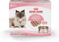 Cat Food for Mother & Kittens