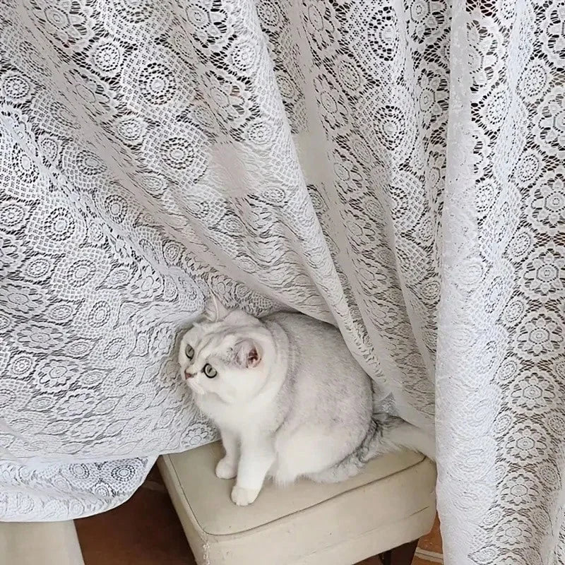 Lace embroidered mesh knitted sheer curtains