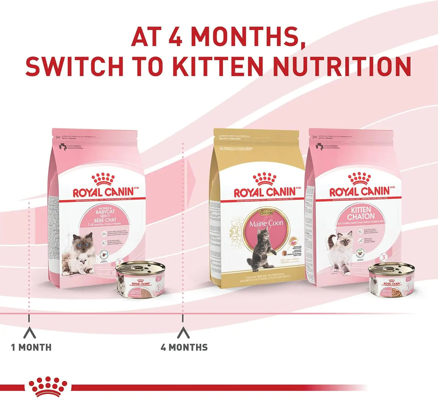 Cat Food for Mother & Kittens