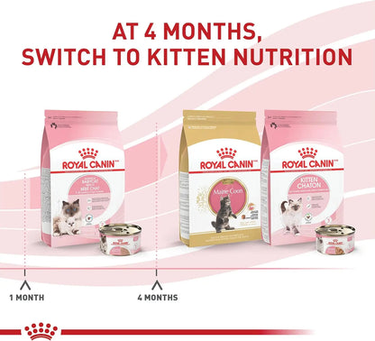 Cat Food for Mother & Kittens