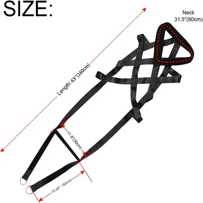 Dog Pull Training Leash Sled