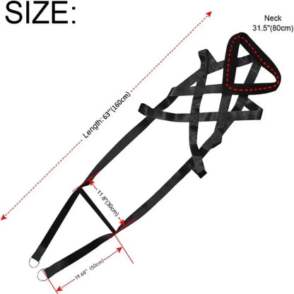 Dog Pull Training Leash Sled