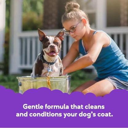 Dog Shampoo and Conditioner for Dog Grooming, Lavender and Mint