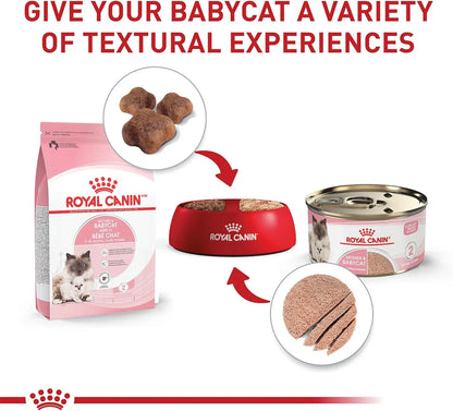Cat Food for Mother & Kittens