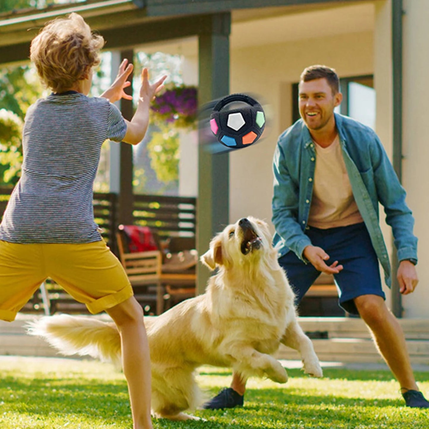 Dog Calming Ball W/ Easy-Grip Handle