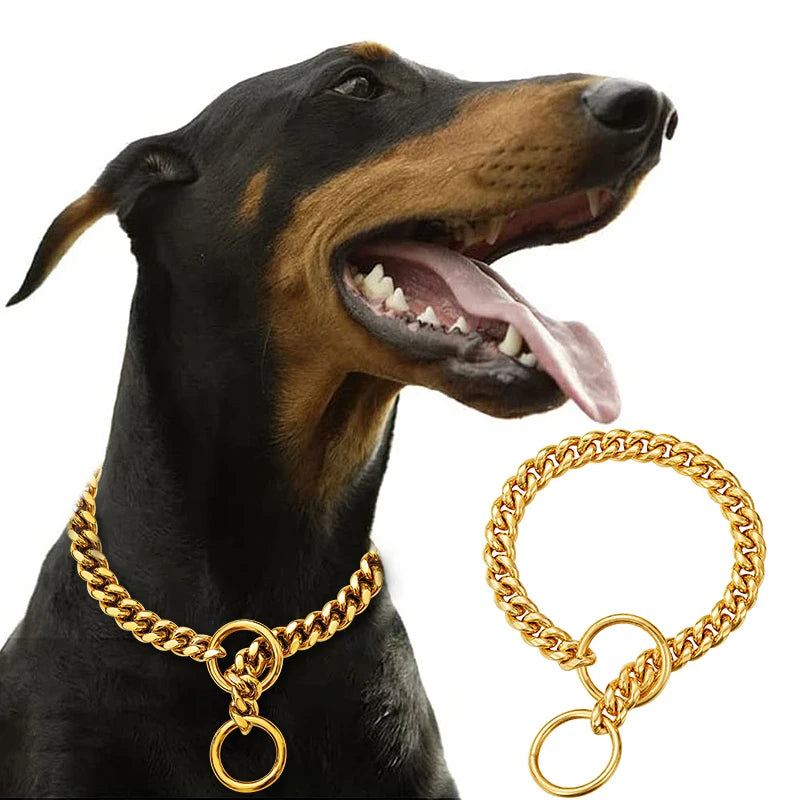 Stainless Chain Collar for Walking & Training