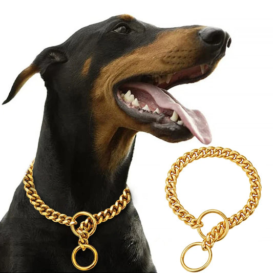 Stainless Chain Collar for Walking & Training