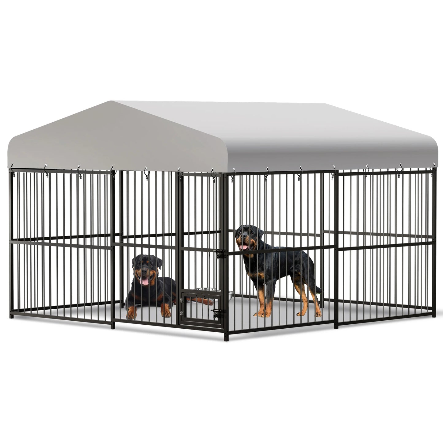 Kennel