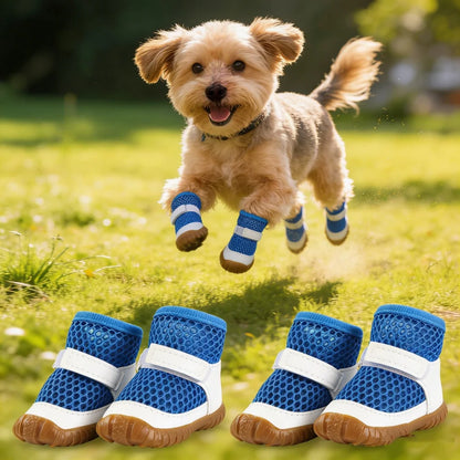Dog Boots