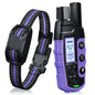 Dog Training Collar