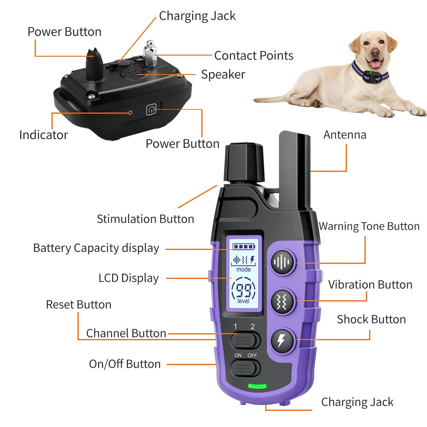 Dog Training Collar
