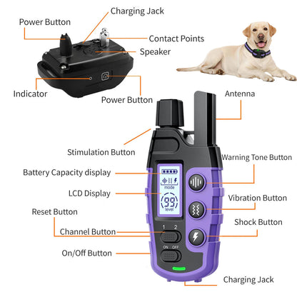 Dog Training Collar