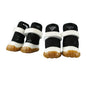 Dog Boots