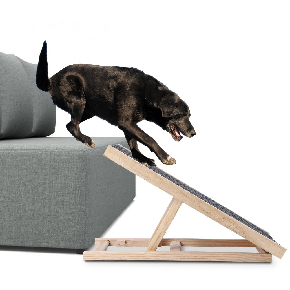Dog Ramp with Adjustable Height, Anti-Skid and Wear-Resistant
