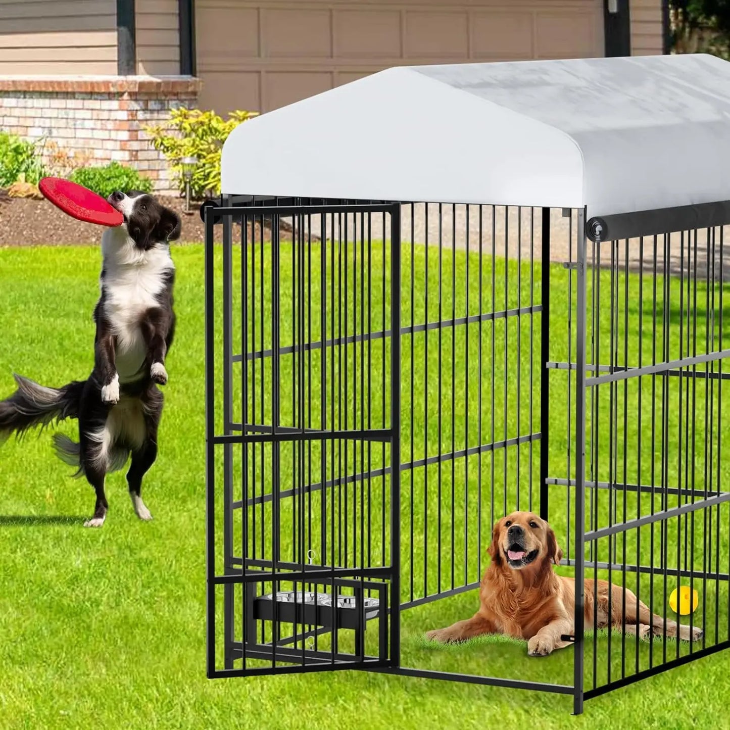 Kennel