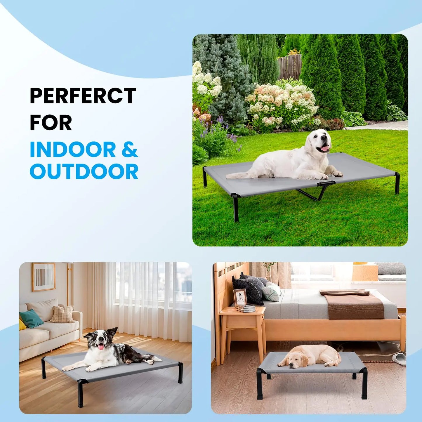 Elevated Dog Bed