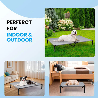 Elevated Dog Bed