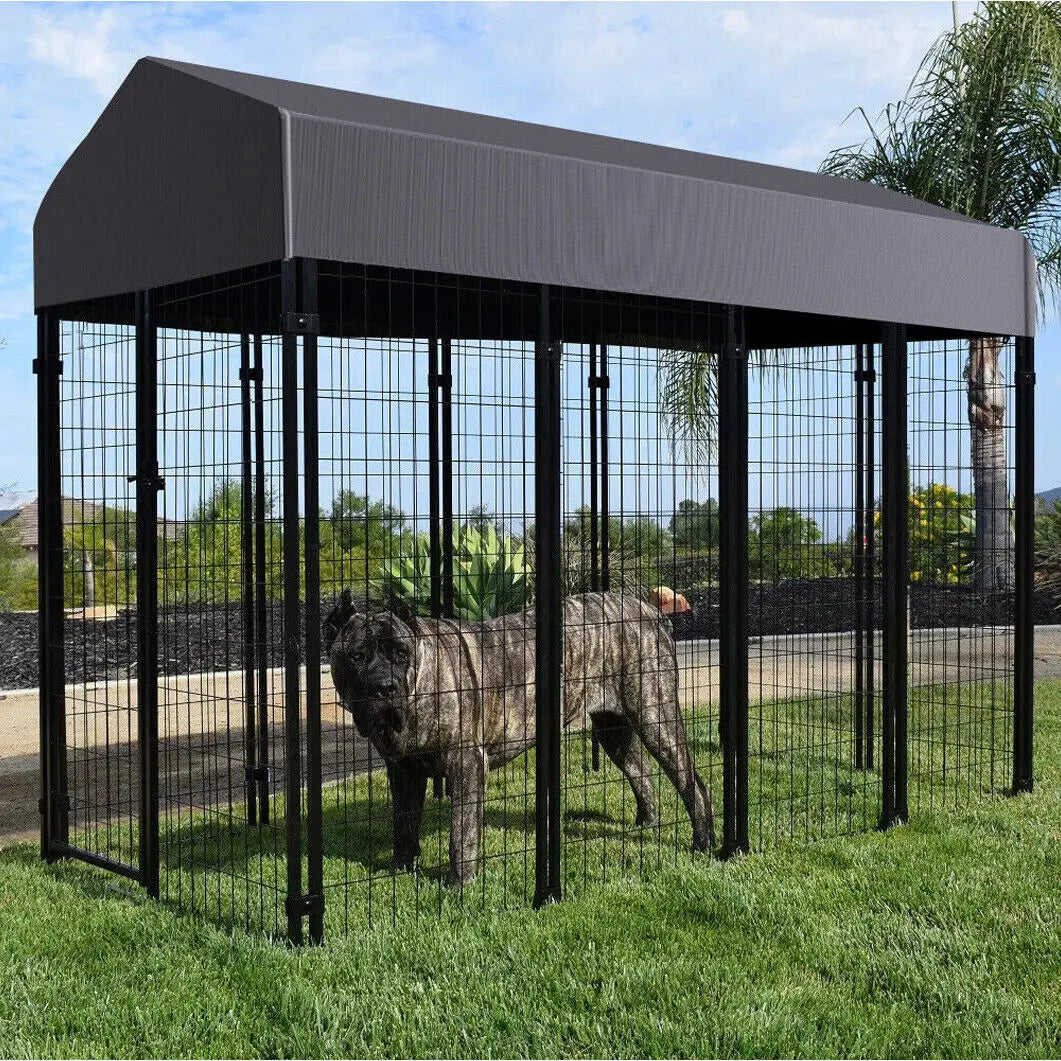 Outdoor Pet Kennel, With High Fence, & Roof