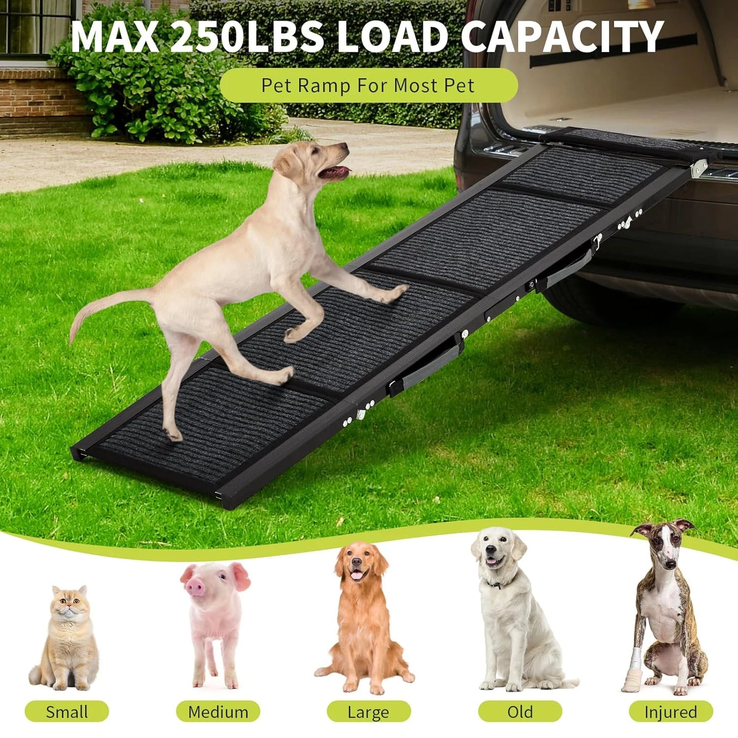 Folding Pet Ramp With Non-Slip Surface