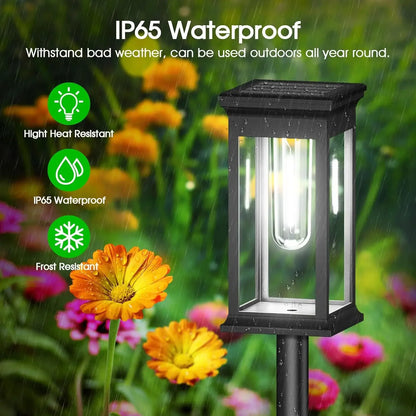 Solar Pathway Lights