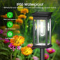 Solar Pathway Lights