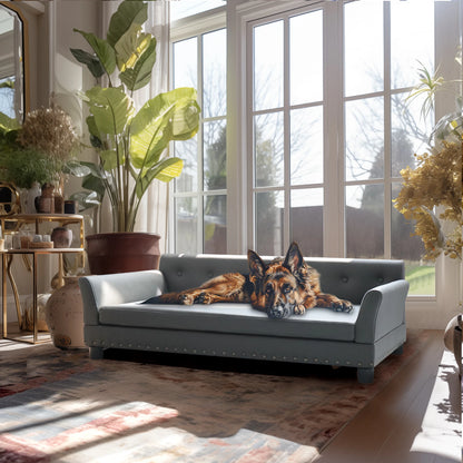 Pet Bed, Durable Elevated
