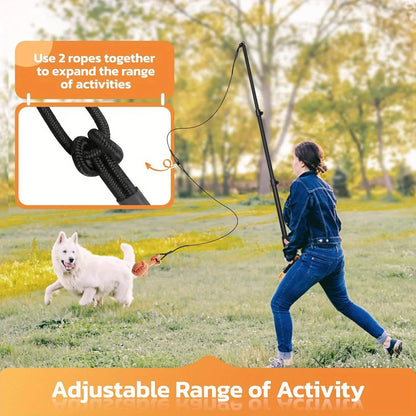 Flirt Pole For Dogs Chase And Tug Of War