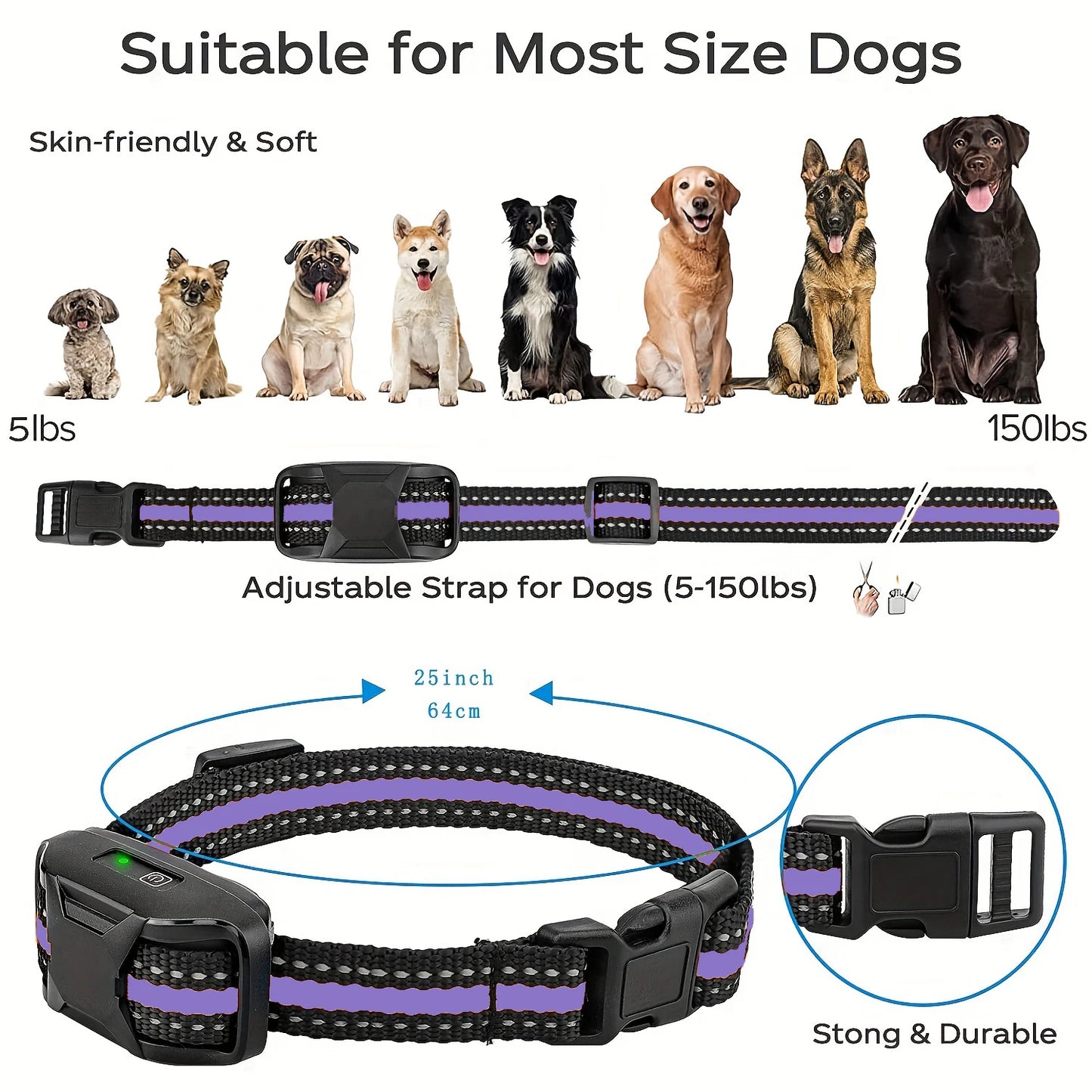 Dog Training Collar