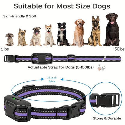 Dog Training Collar