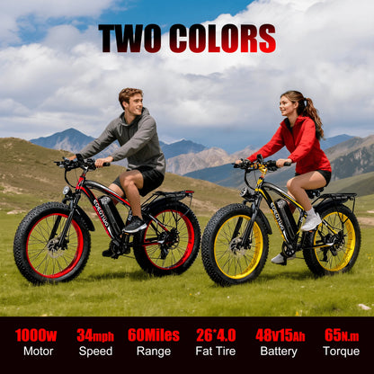 Fat Tire Electric Bike for Adults
