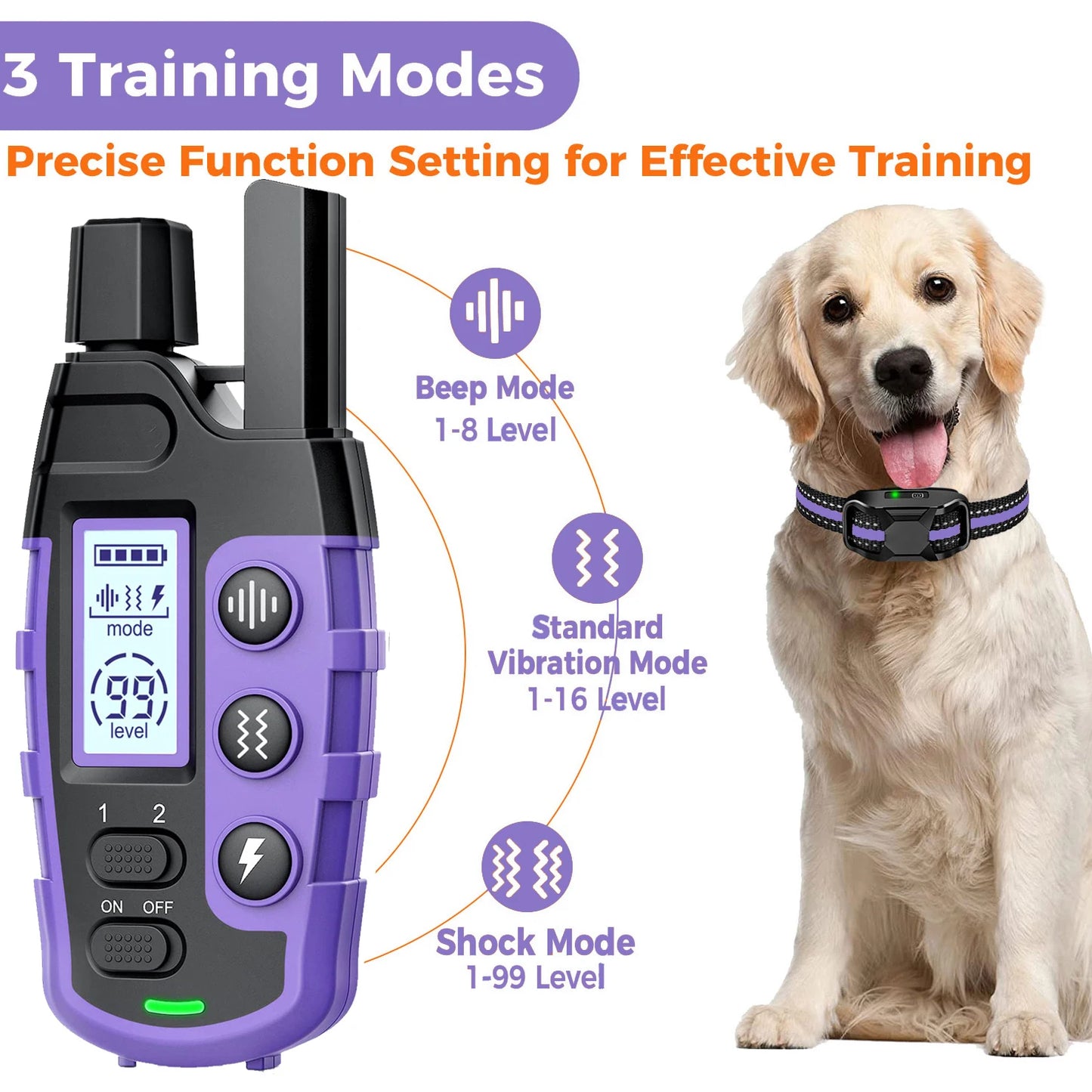Dog Training Collar