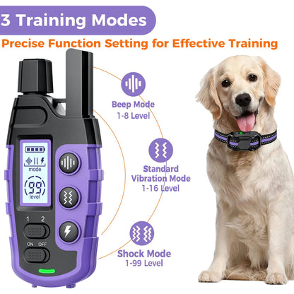 Dog Training Collar