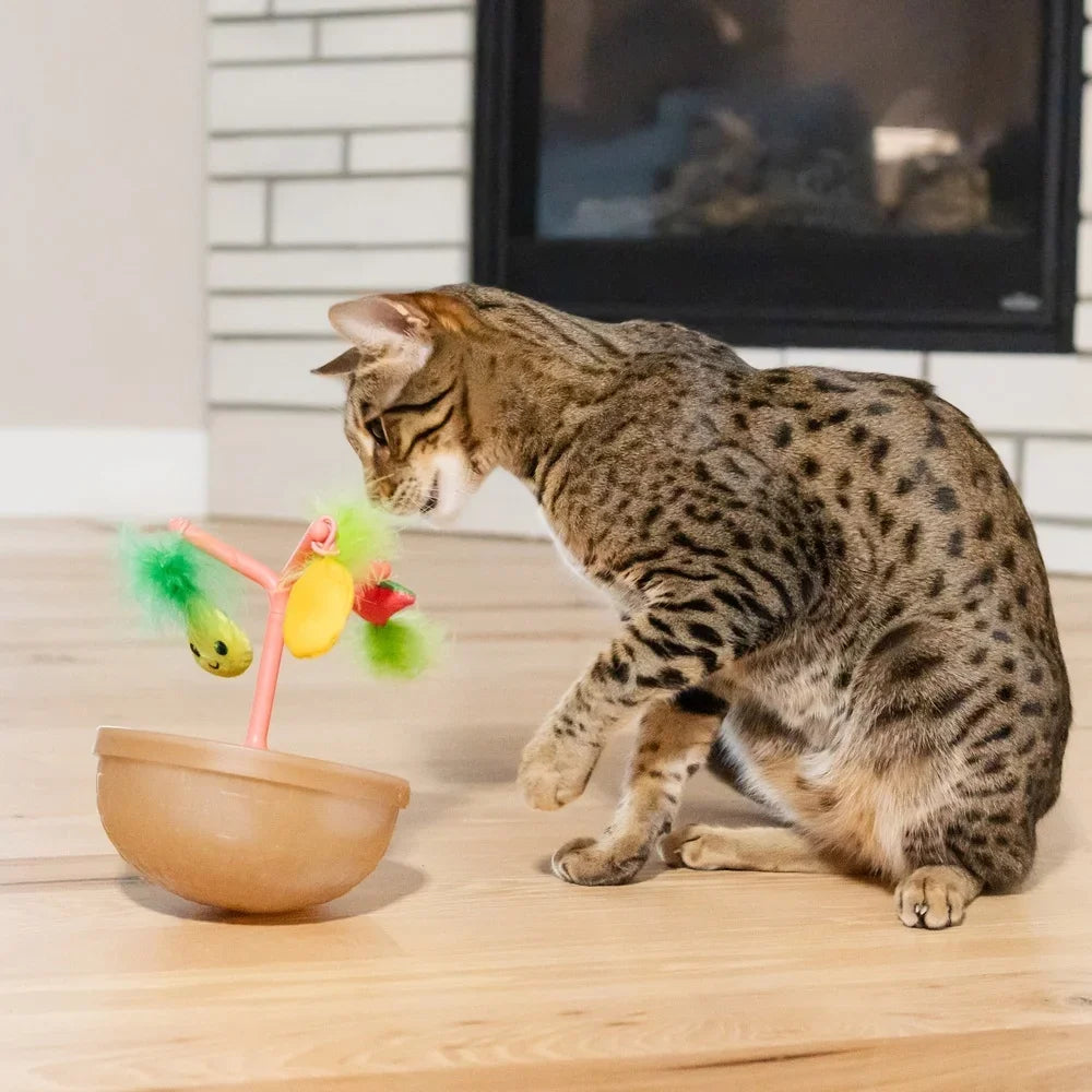 Cat Toy Fruit Bowl with 5 Interactive Toys & Jingle Ball