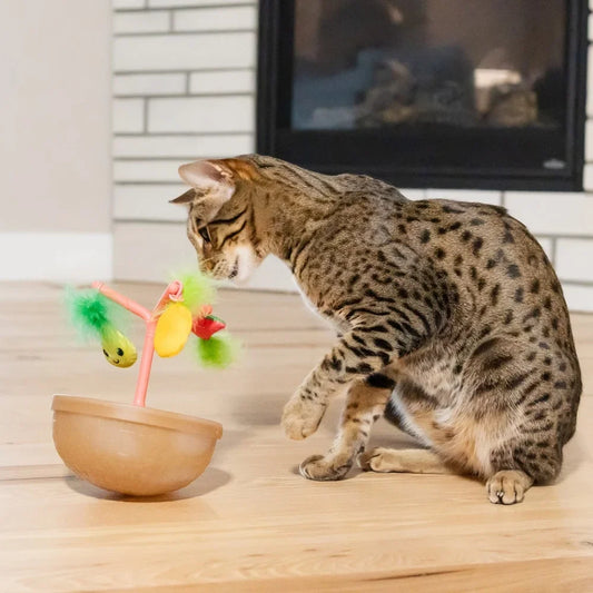 Cat Toy Fruit Bowl with 5 Interactive Toys & Jingle Ball