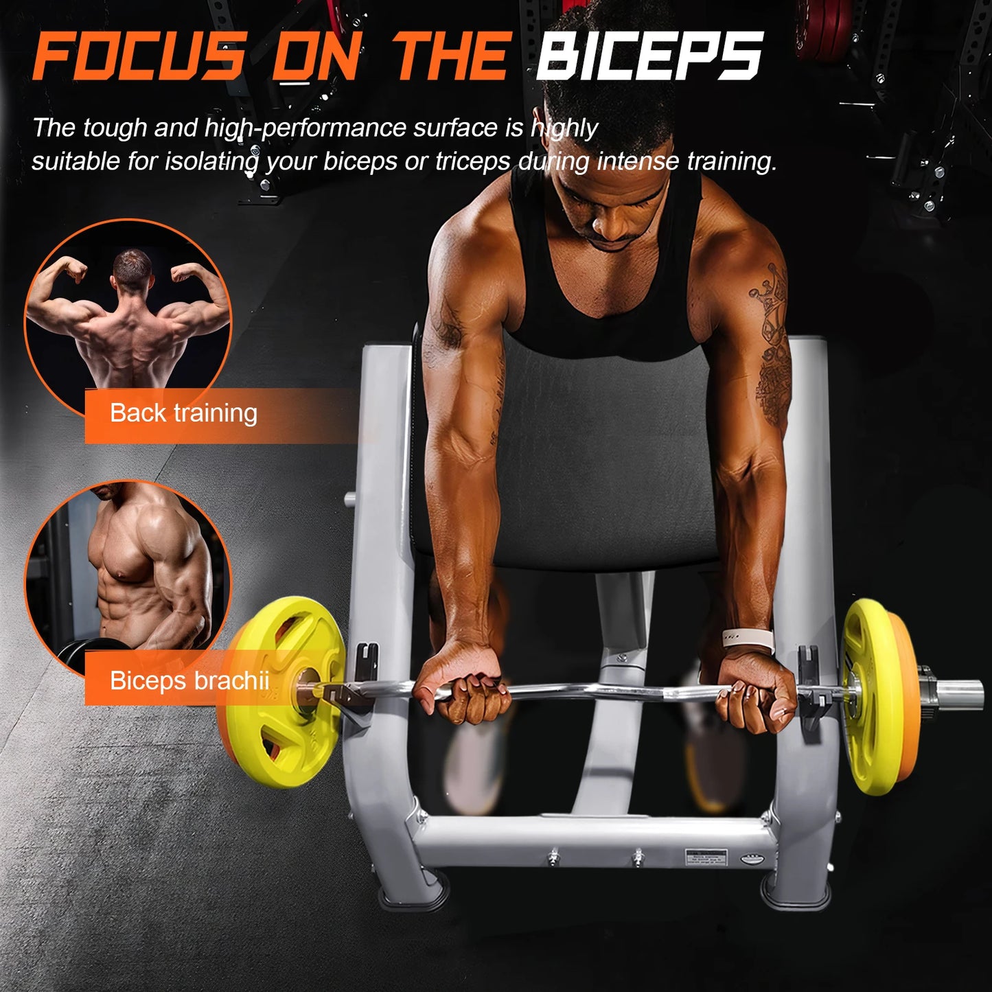Preacher Curl Bench