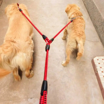 Dog Leash