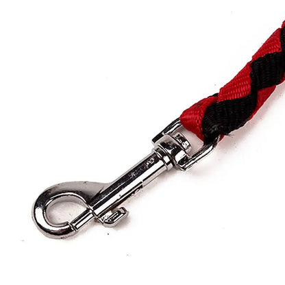 Dog Leash