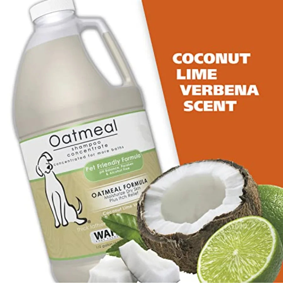 Shampoo for Dogs Oatmeal Formula with Coconut Lime Scent