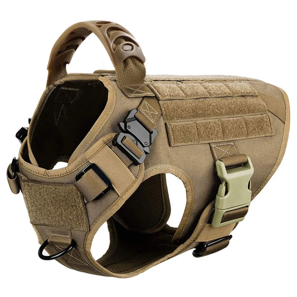 Dog Harness And Leash For Training, & Walking