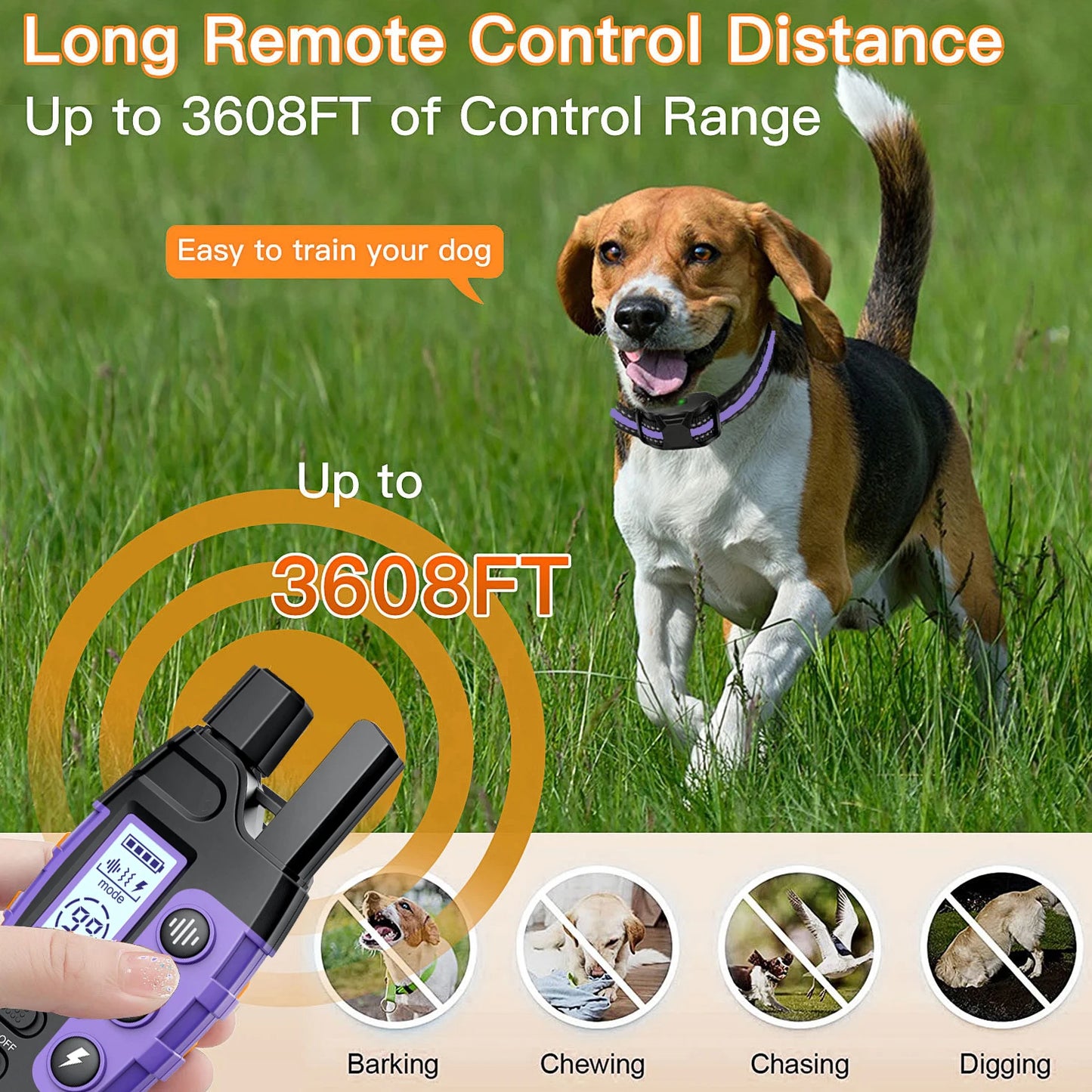 Dog Training Collar