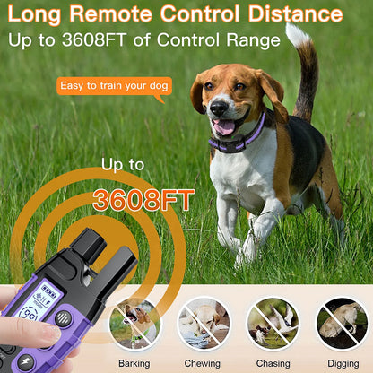 Dog Training Collar