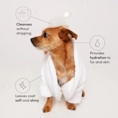 Cat and Dog Shampoo for Gentle Cleansing, Hydration,Shine, Vegan and Cruelty-Free