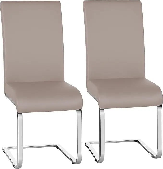 Dining Chairs Set of 2