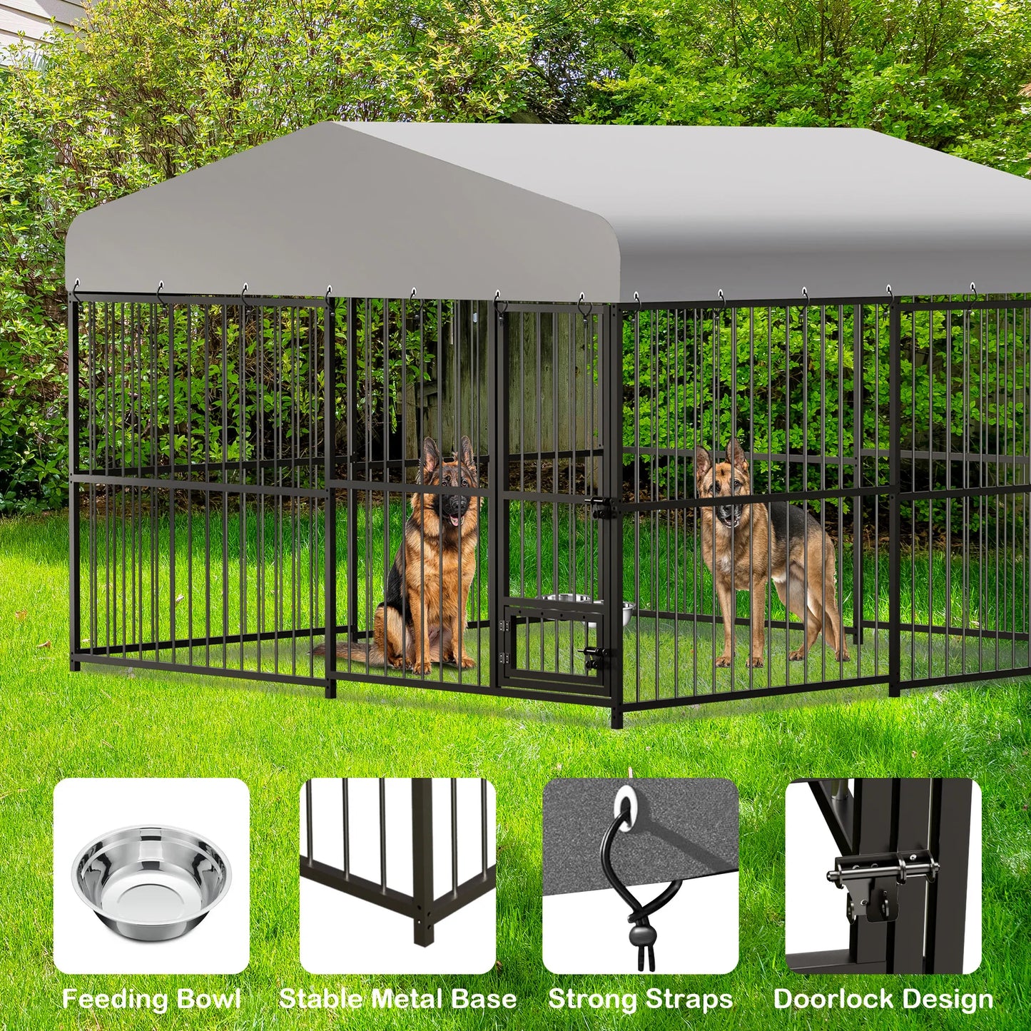 Kennel