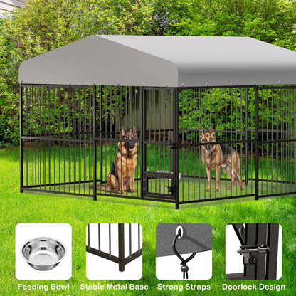 Kennel