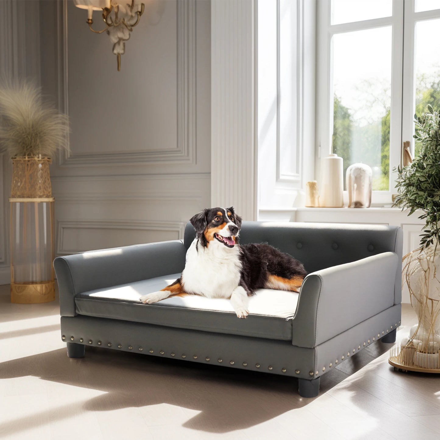 Pet Bed, Durable Elevated