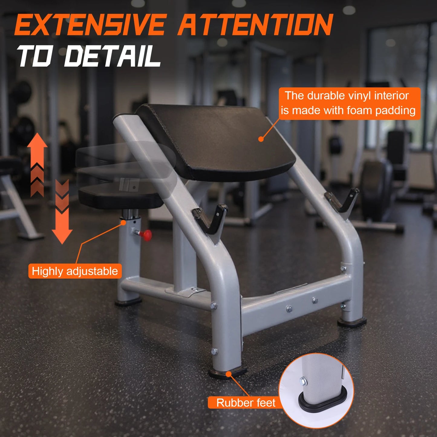 Preacher Curl Bench