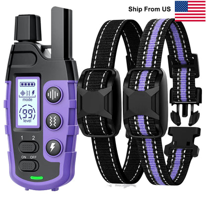 Dog Training Collar