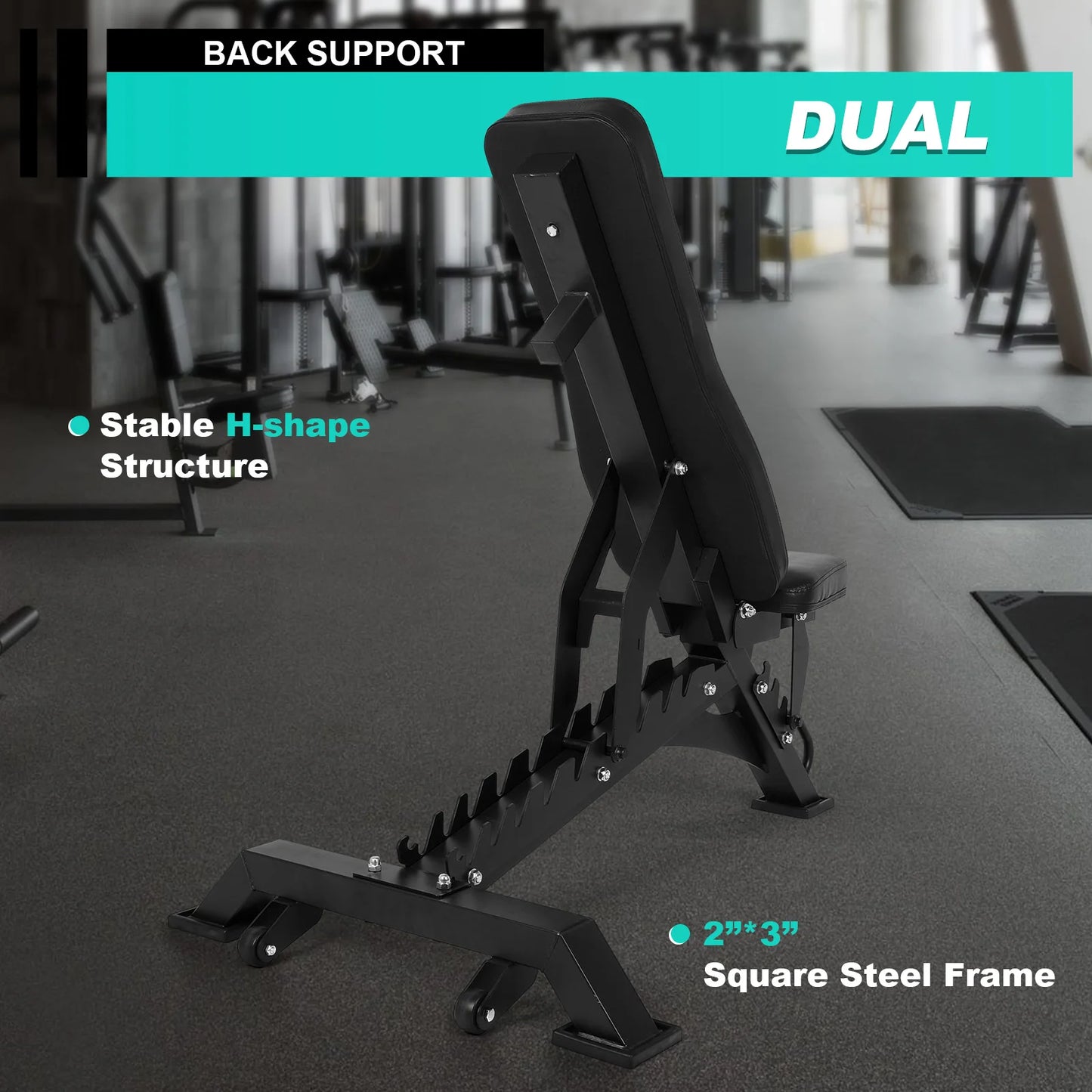 Weight Bench