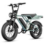 Electric Bike for Adults, Removable Battery